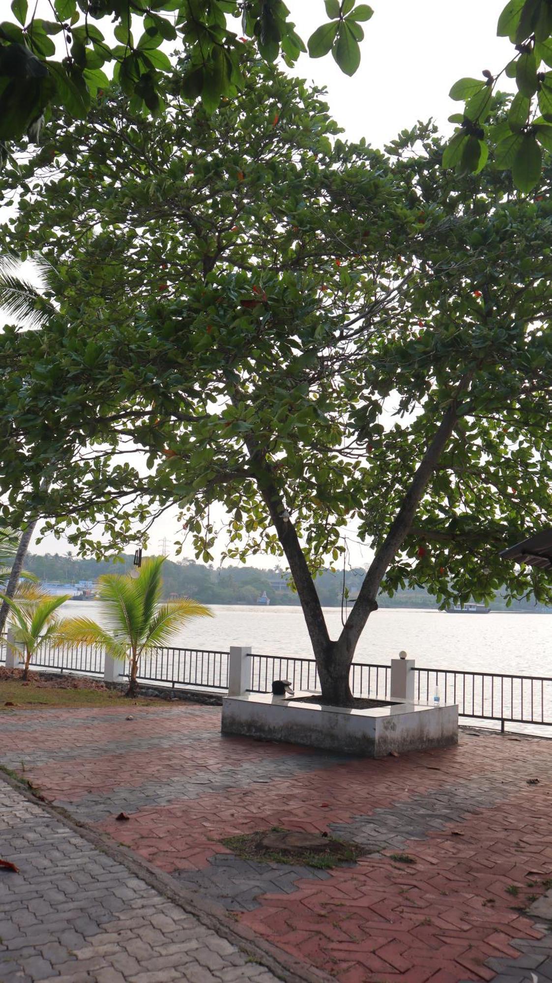 Ripples Service Villas Kollam Exterior photo